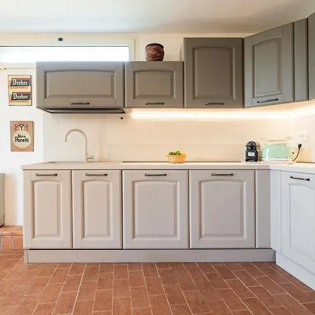 Harmonia 维拉西米乌斯