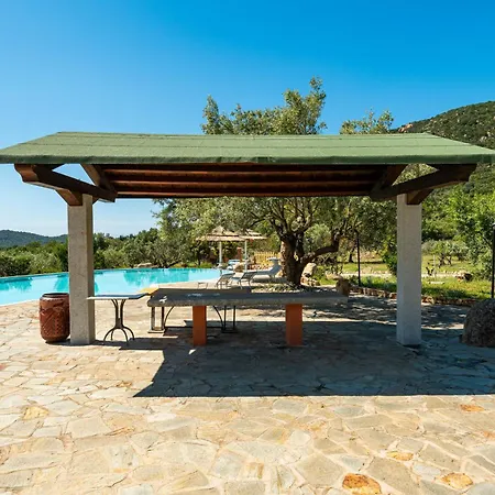 Harmonia 维拉西米乌斯