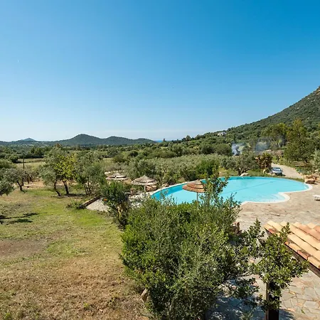 Harmonia * וילסימיוס