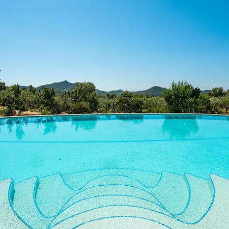 Harmonia וילסימיוס