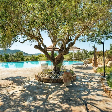 别墅 Harmonia 维拉西米乌斯