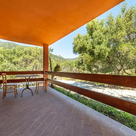 Harmonia וילסימיוס