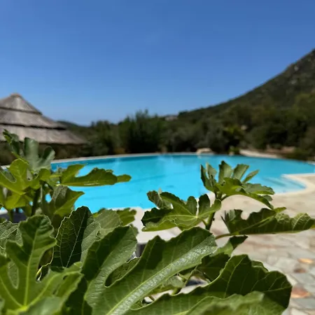 Harmonia Villa Villasimius